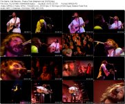 Cat Stevens - Peace Train (Majikat Live) [1976].mpg_tn.jpg