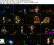 Def Leppard - Love Bites (Live Don Valley Stadium Sheffield) [1993].mpg_tn.jpg