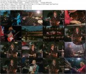 Paul McCartney - Birthday (Live At Knebworth)[1990] .VOB_tn.jpg