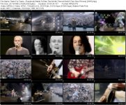 Tears For Fears - Everybody Wants To Rule The World (''Secret World'' Parc Des Princes) [2005]...jpg