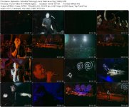 Alphaville - Whishful Thinking (Live In Salt Lake City) [1999].VOB_tn.jpg