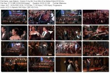 Juan Gabriel - Vienes O Voy (En Vivo) (Mis 40 en Bellas Artes) [2014].mkv_tn.jpg