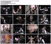 Siouxsie & The Banshees - The Passenger [1987].jpg