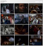 Bob Marley Dvd.JPG Bob Marley Dvd.JPG