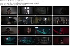 Sia - The Greatest (Master) [2016[.mp4_tn.jpg