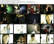 Aterciopelados - Hijos De Tigre [2009].jpg