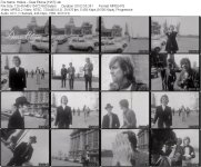 Hollies – Dear Elloise [1967].jpg
