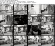 Sonny & Cher - Little Man [1966].jpg