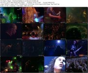 Slayer - Chemical Warfare (Live Intrusion) [1995]..jpg