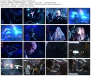 Slayer - Dittohead (Live Intrusion) [1995].vob_tn.jpg