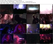 Slayer - Raining Blood (Live Intrusion) [1995].jpg