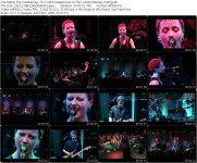 The Cranberries - So Cold In Ireland (Live At The London Astoria) [1994].jpg
