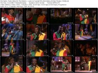 Toots Hibbert & The Wailers - Lively Up Yourself (The Bob Marley All-Star Tribute)  [1999].jpg