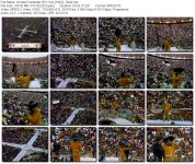 Vicente Fernández - Dolor [En Vivo] [1984].jpg